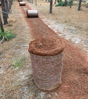 wholesale round pine straw rolls