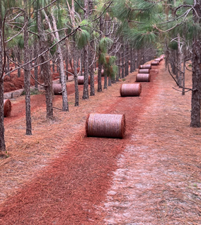 Wholesale colored round pine straw bales